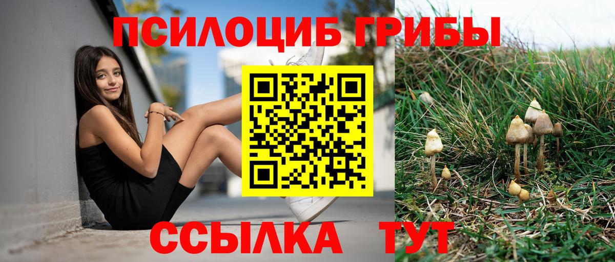 Нефтекамск  Галлюциногенные грибы GOLDEN TEACHER  Вход с VPN 